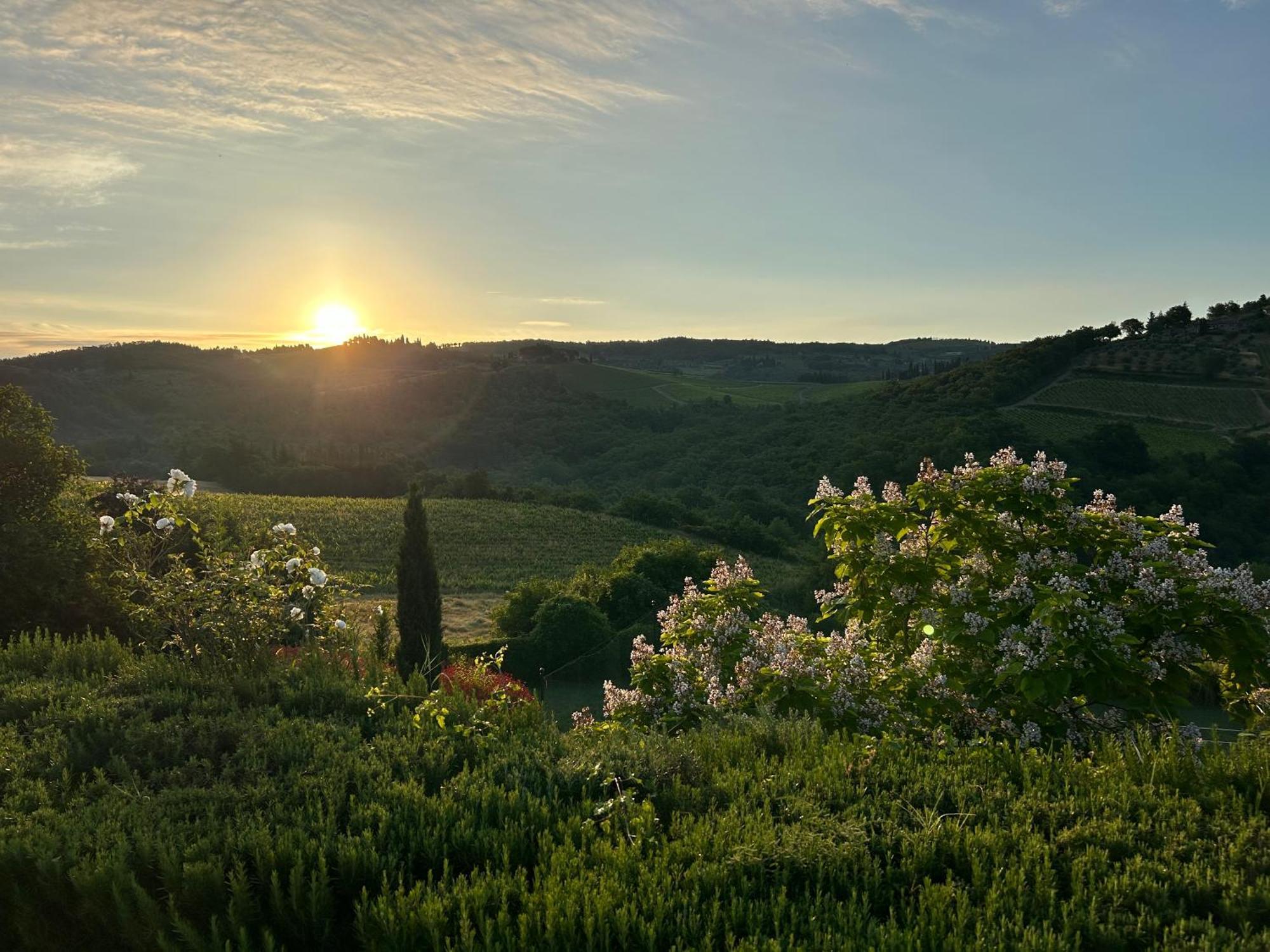 Villa Rignana Estate Greve in Chianti Exterior foto